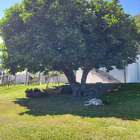 Casa Vacanze Perla Del Lago Domaso Exterior foto