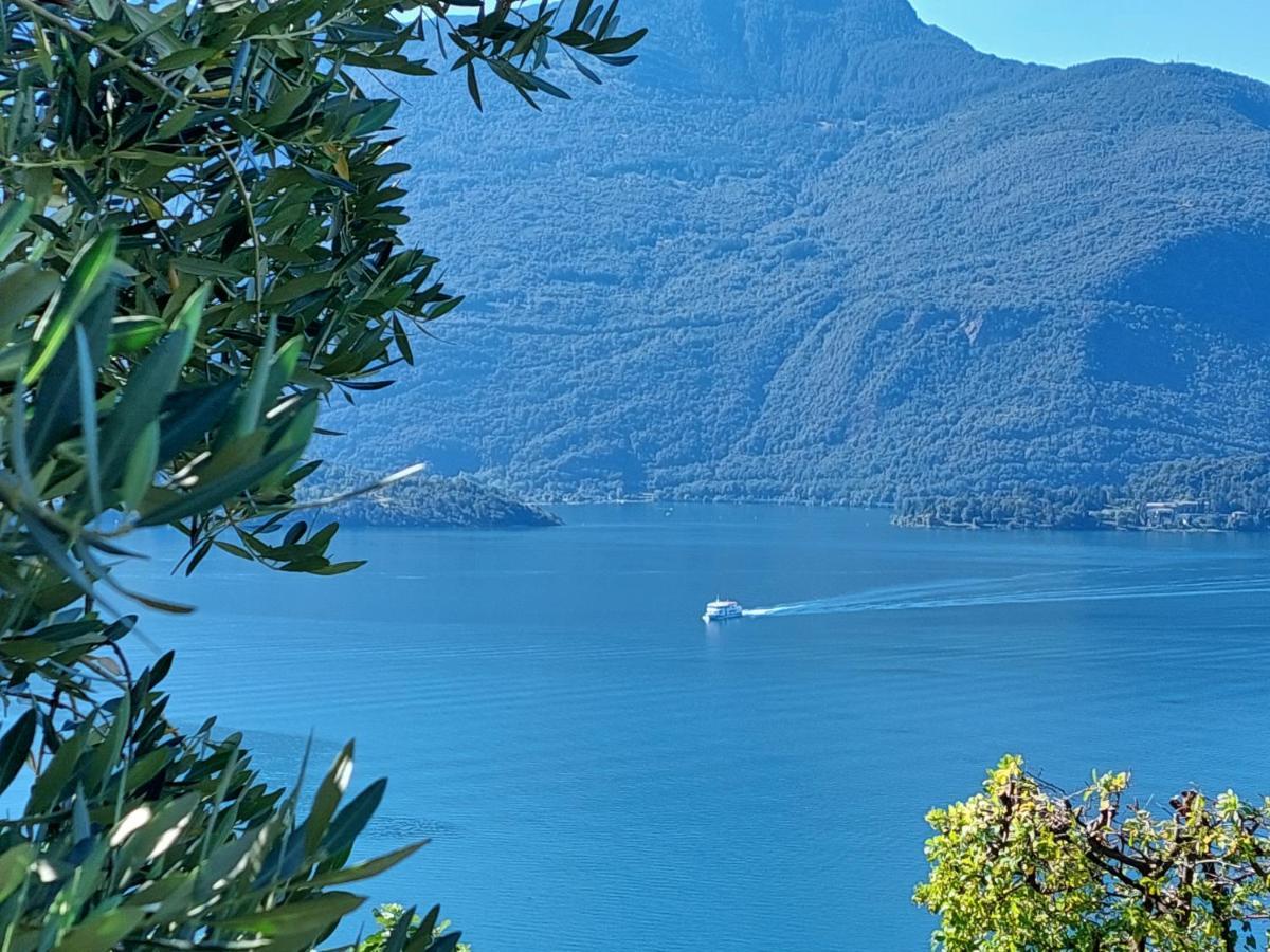 Casa Vacanze Perla Del Lago Domaso Exterior foto