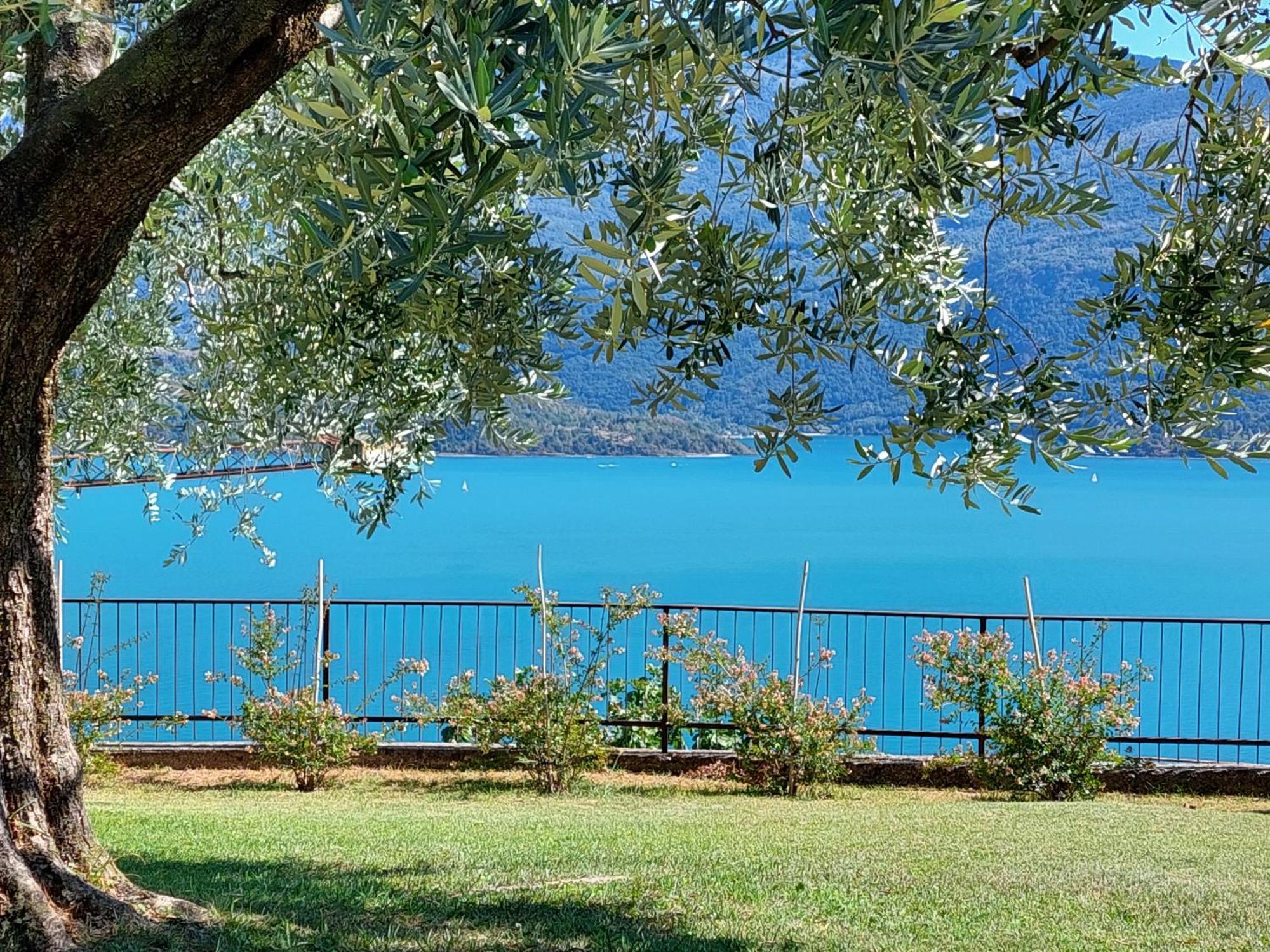 Casa Vacanze Perla Del Lago Domaso Exterior foto